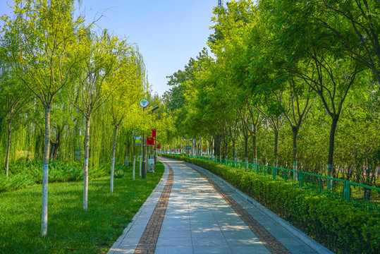 公園步道