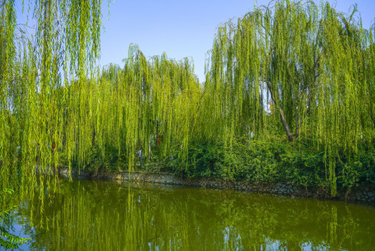 河道景觀城市河流綠化