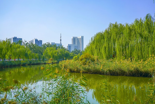 河道景觀城市河流綠化