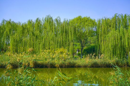 河道景觀河岸造景