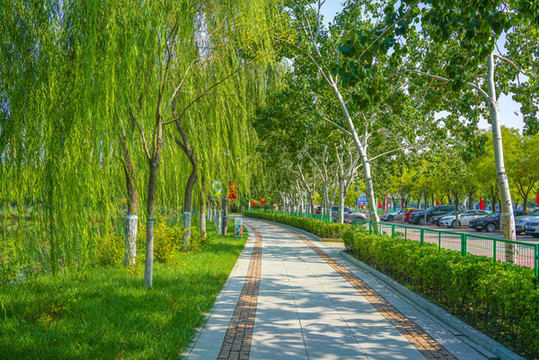 林蔭小路公園小路休閑步道
