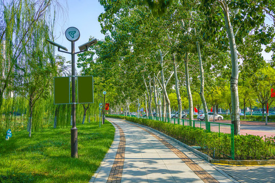 林蔭小路公園小路休閑步道