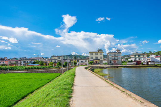牟定縣金馬村