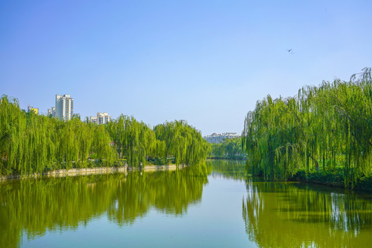 天津河道景觀