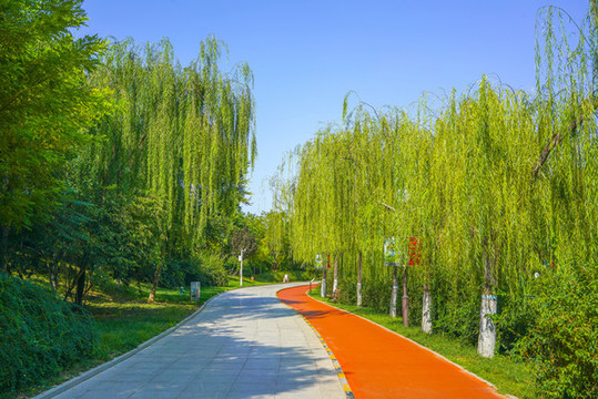 游覽步道