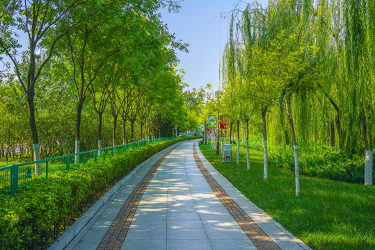 園林步道小路林蔭小路3
