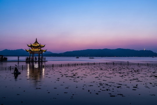 杭州集賢亭夜色