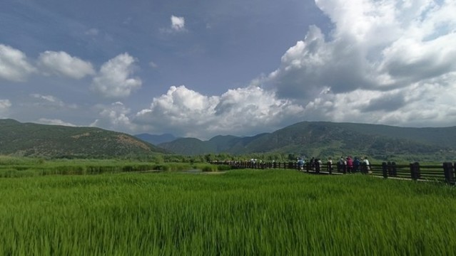 云南走婚橋
