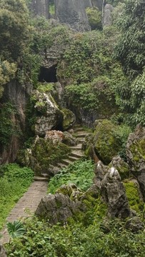 石林