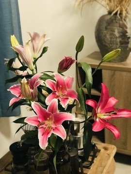百合花