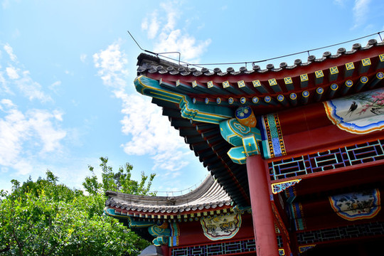 建筑屋頂