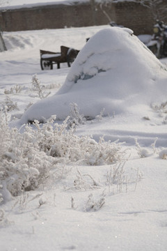雪景