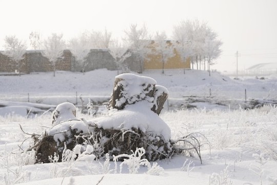 雪景
