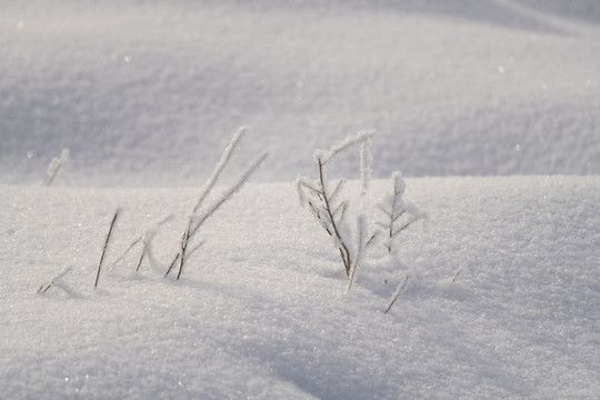 雪景