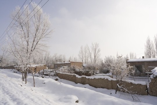 雪景