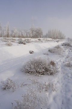 雪景