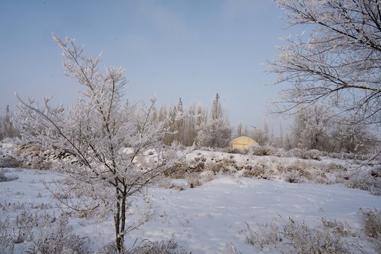 雪景