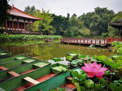 水上公園