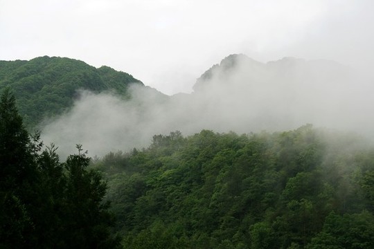 山中晨霧