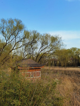 望京公園風(fēng)光