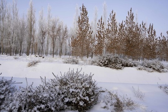 雪景
