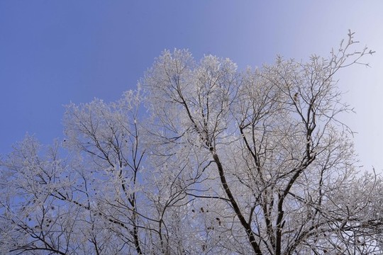 雪景