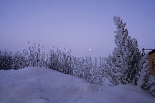 雪景