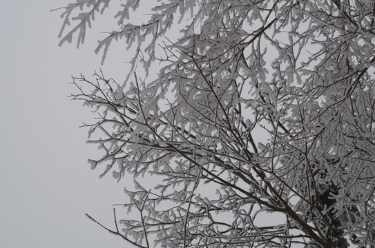 雪