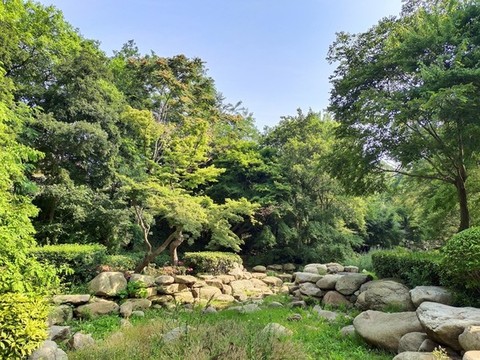 生態(tài)公園