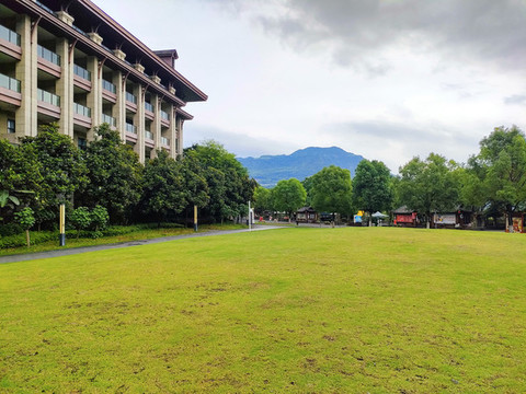 公園草坪