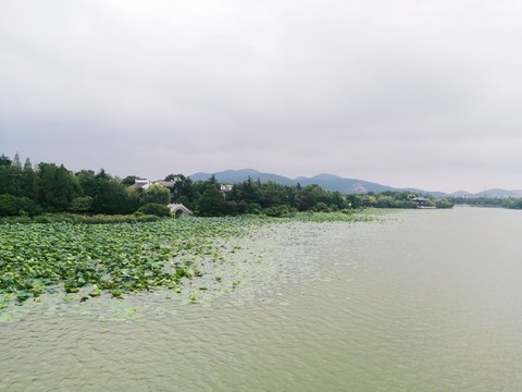 荷塘湖面風(fēng)景