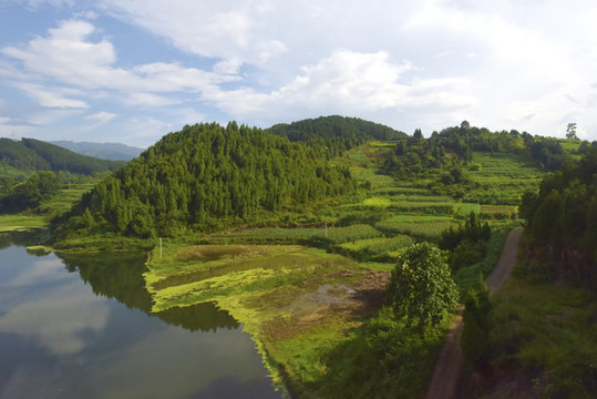 濱水山林