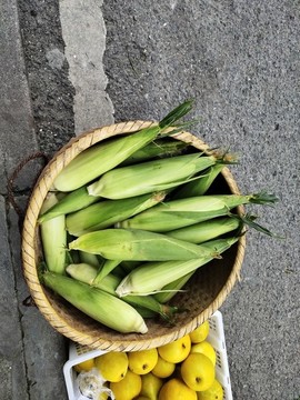 新鮮玉米