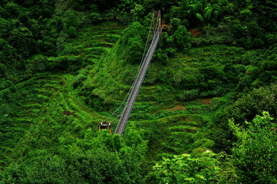 婺源篁嶺