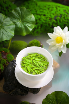 雀舌茶葉沖泡