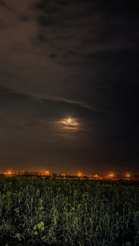 夜間農(nóng)田