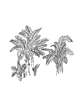 手繪國畫植物樹木素材