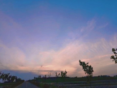 林間晚霞