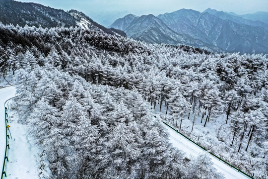 雪景