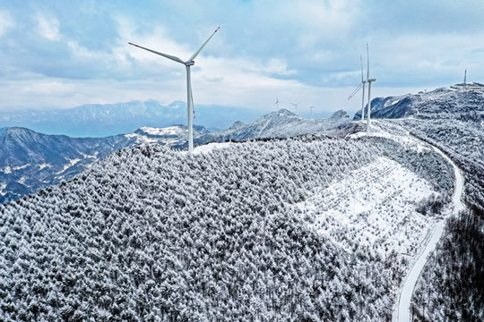 雪景