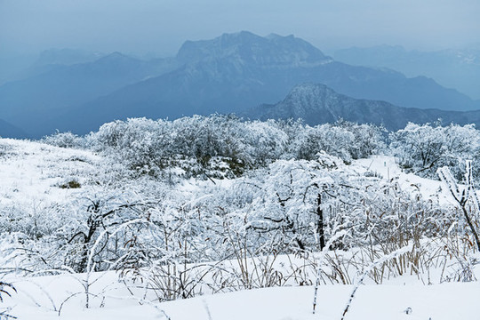 雪景