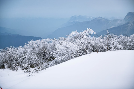 雪景