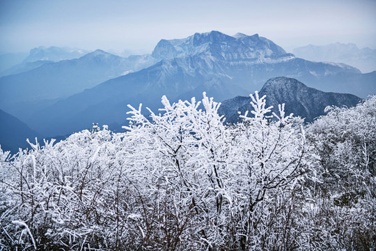 雪景