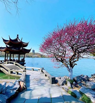 濱水公園