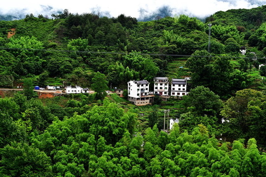 婺源篁嶺