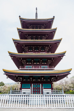 武漢東湖櫻花園