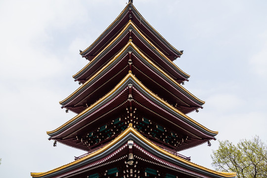 武漢東湖櫻花園