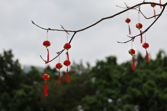 過年時(shí)的中國紅