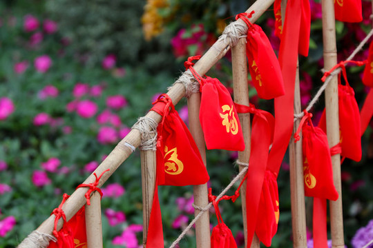 過(guò)年時(shí)的中國(guó)紅