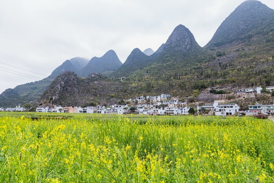 貴州興義萬(wàn)峰林